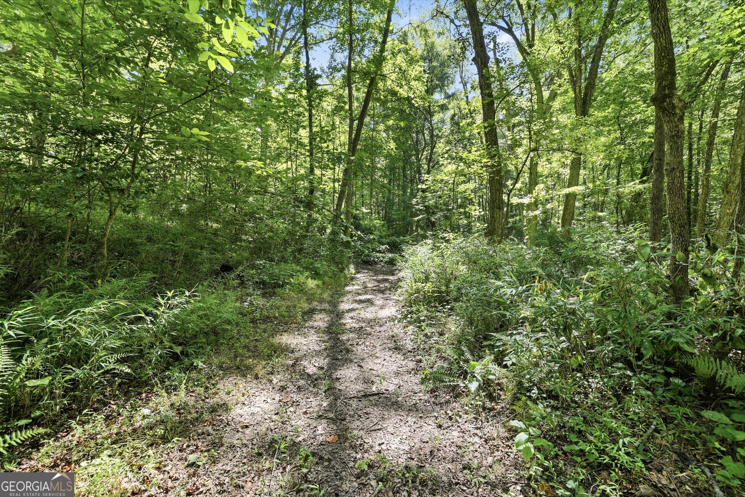527 Jim Carter Road Clarkesville GA 30523