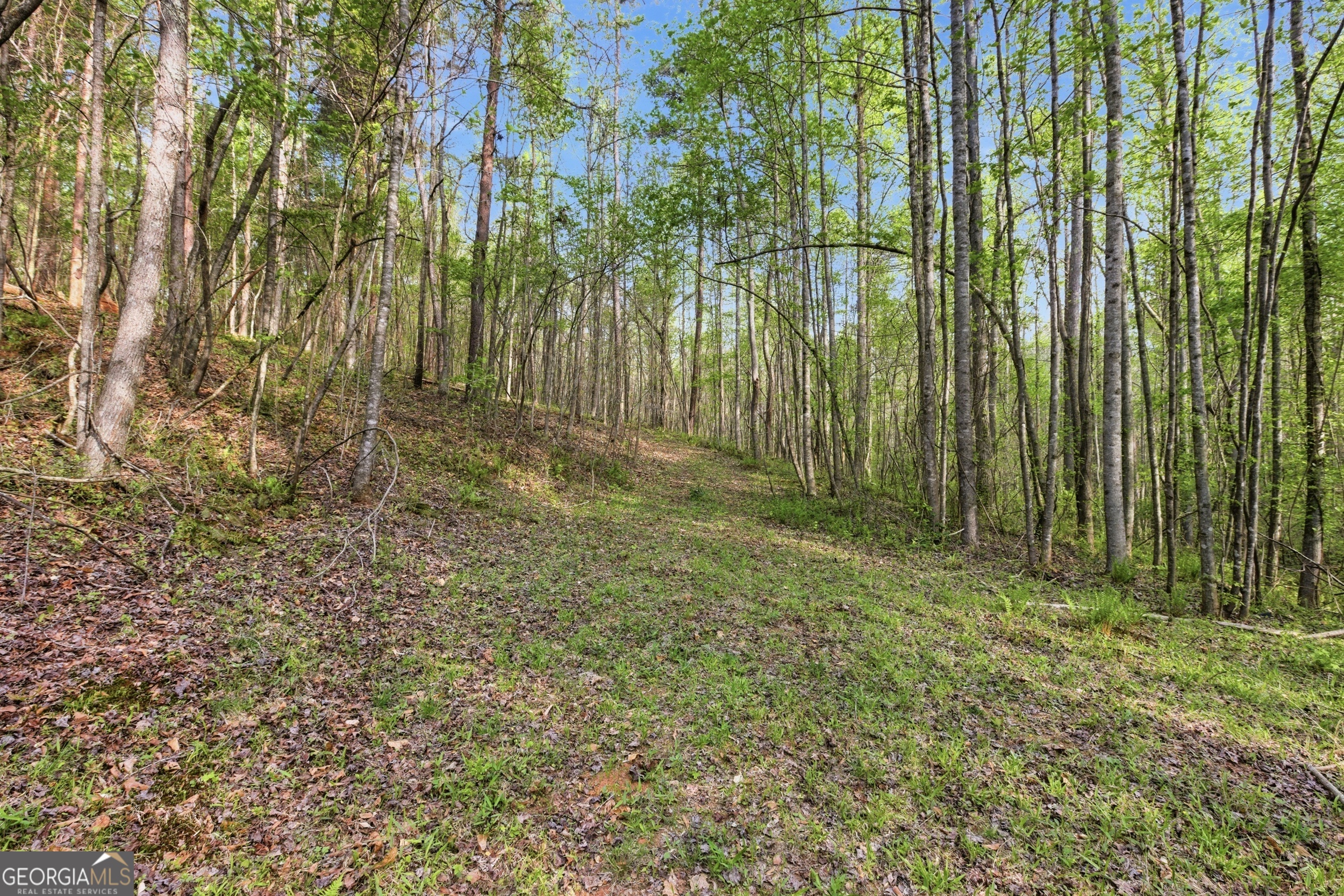 6668 Belton Bridge Road Lula GA 30554