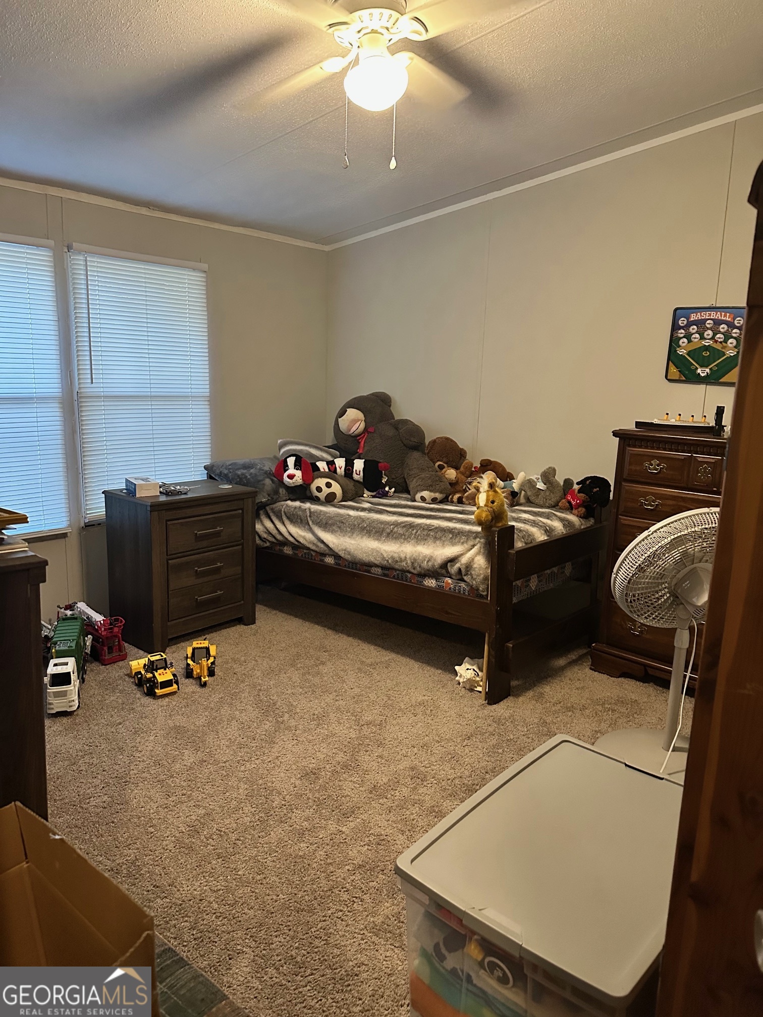 216 Skye View Drive Statesboro GA 30458