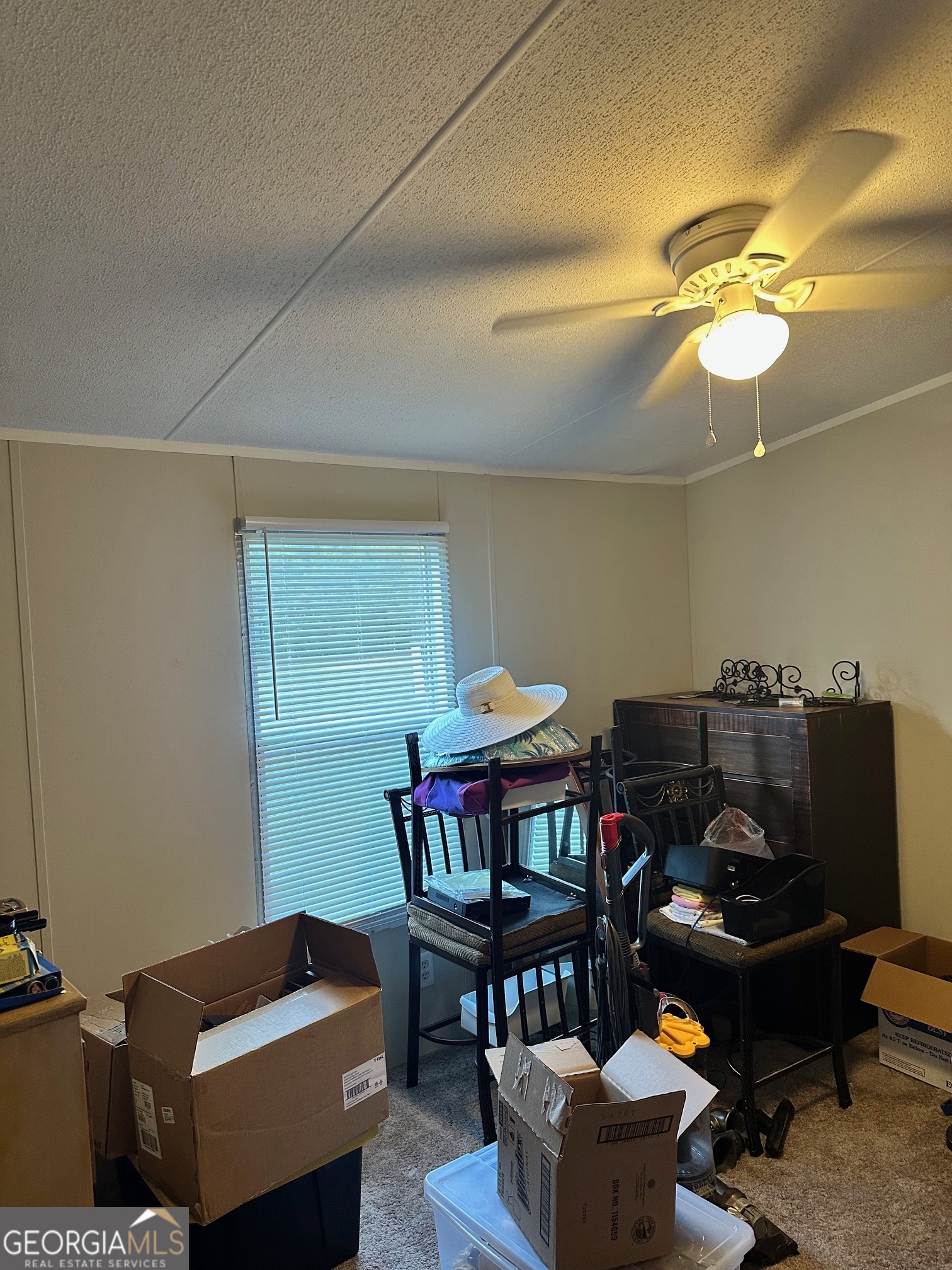 216 Skye View Drive Statesboro GA 30458