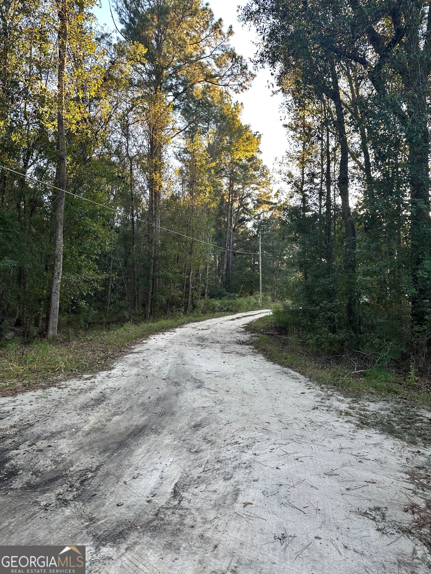 216 Skye View Drive Statesboro GA 30458