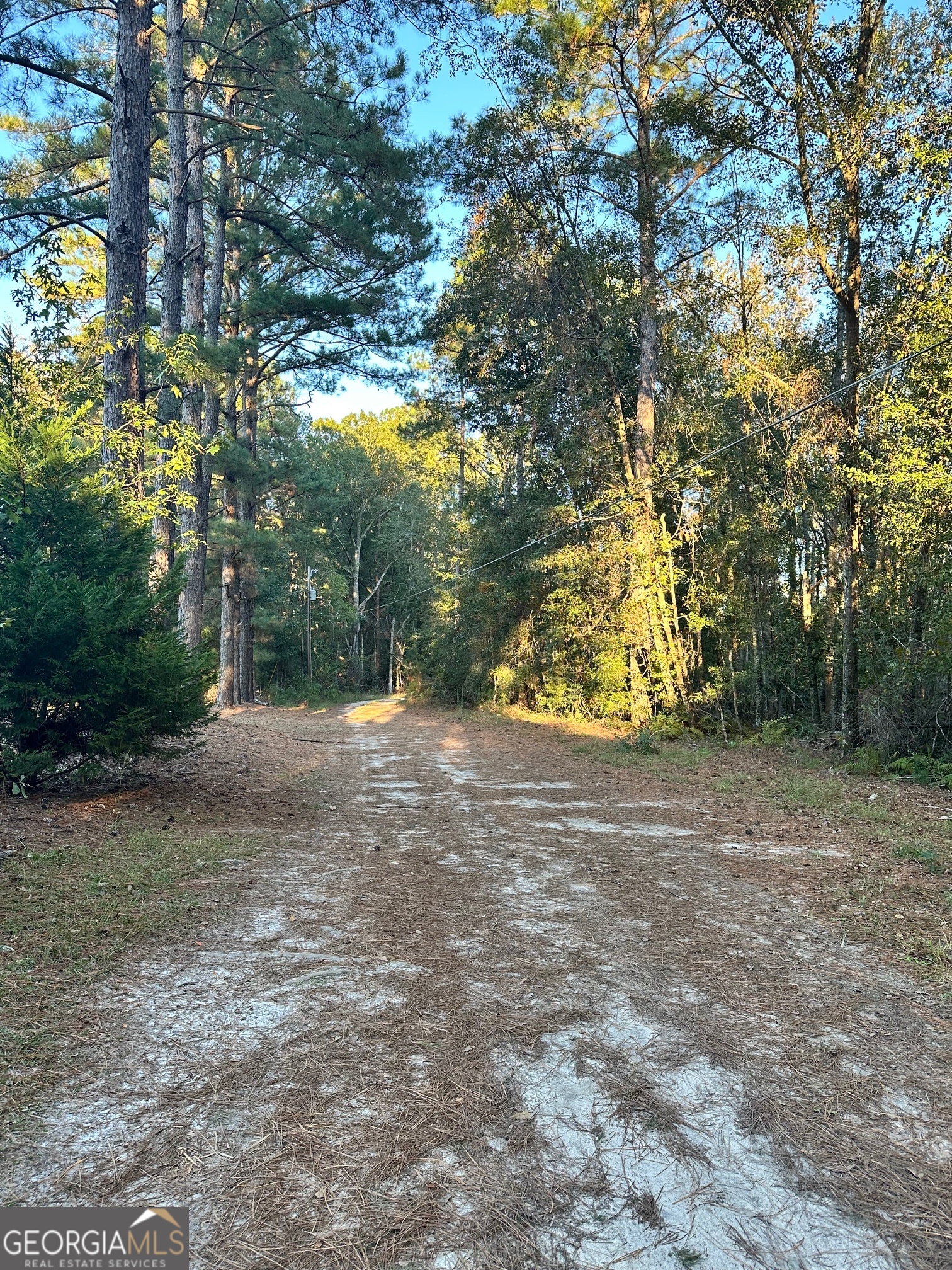 216 Skye View Drive Statesboro GA 30458