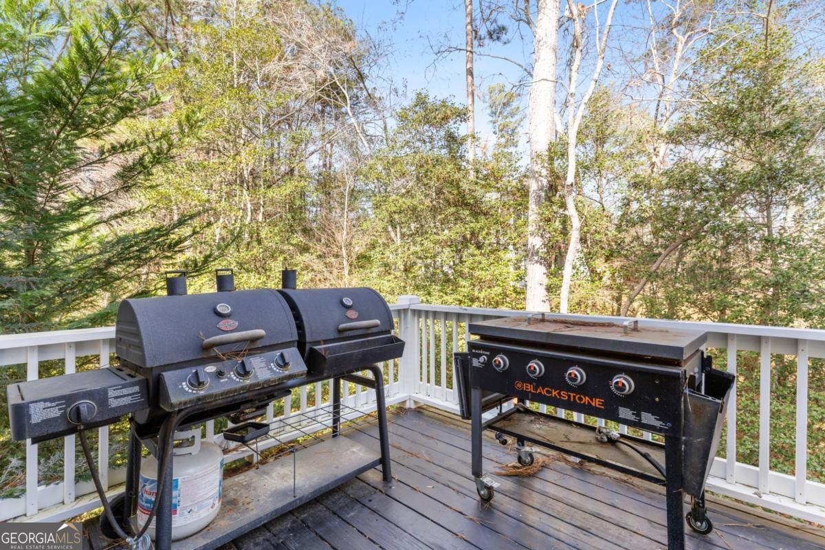 41 Brumby Trail Ellijay GA 30536