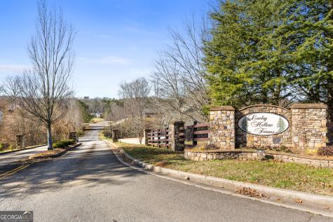 41 Brumby Trail Ellijay GA 30536
