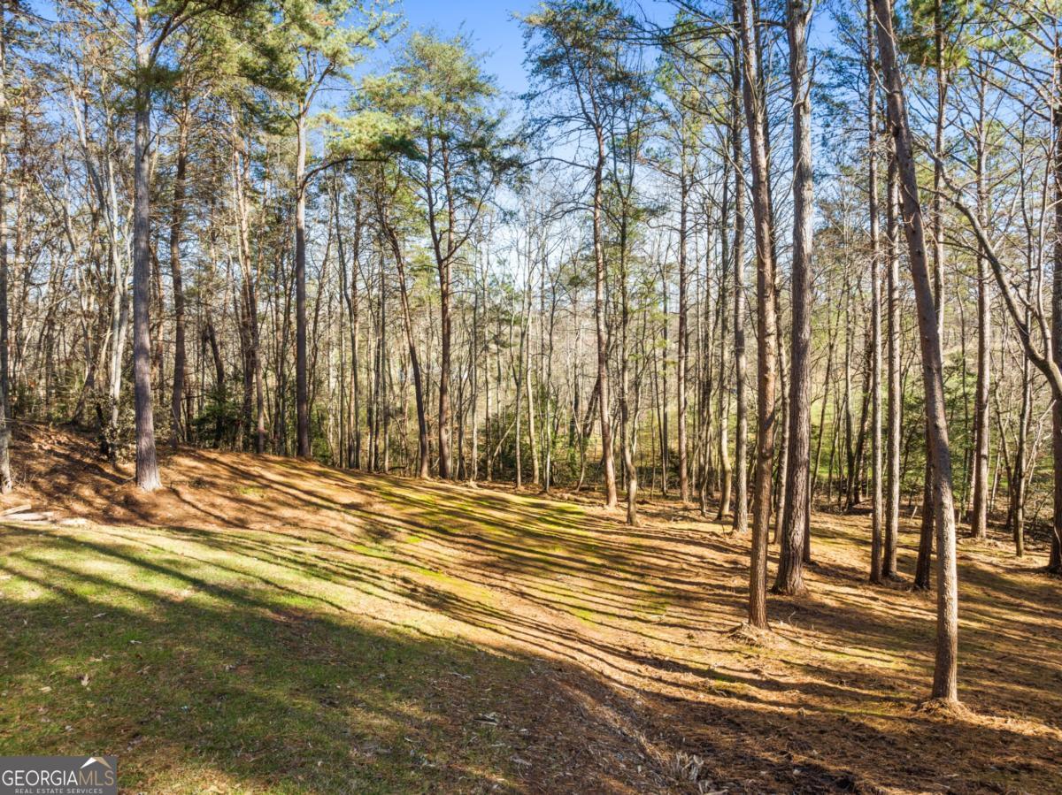 41 Brumby Trail Ellijay GA 30536