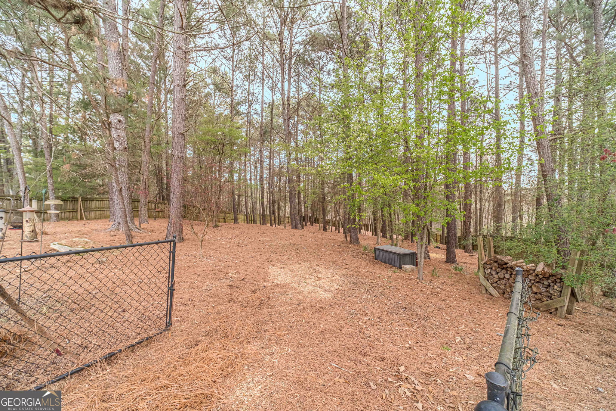 1409 Silver Thorne Court Loganville GA 30052