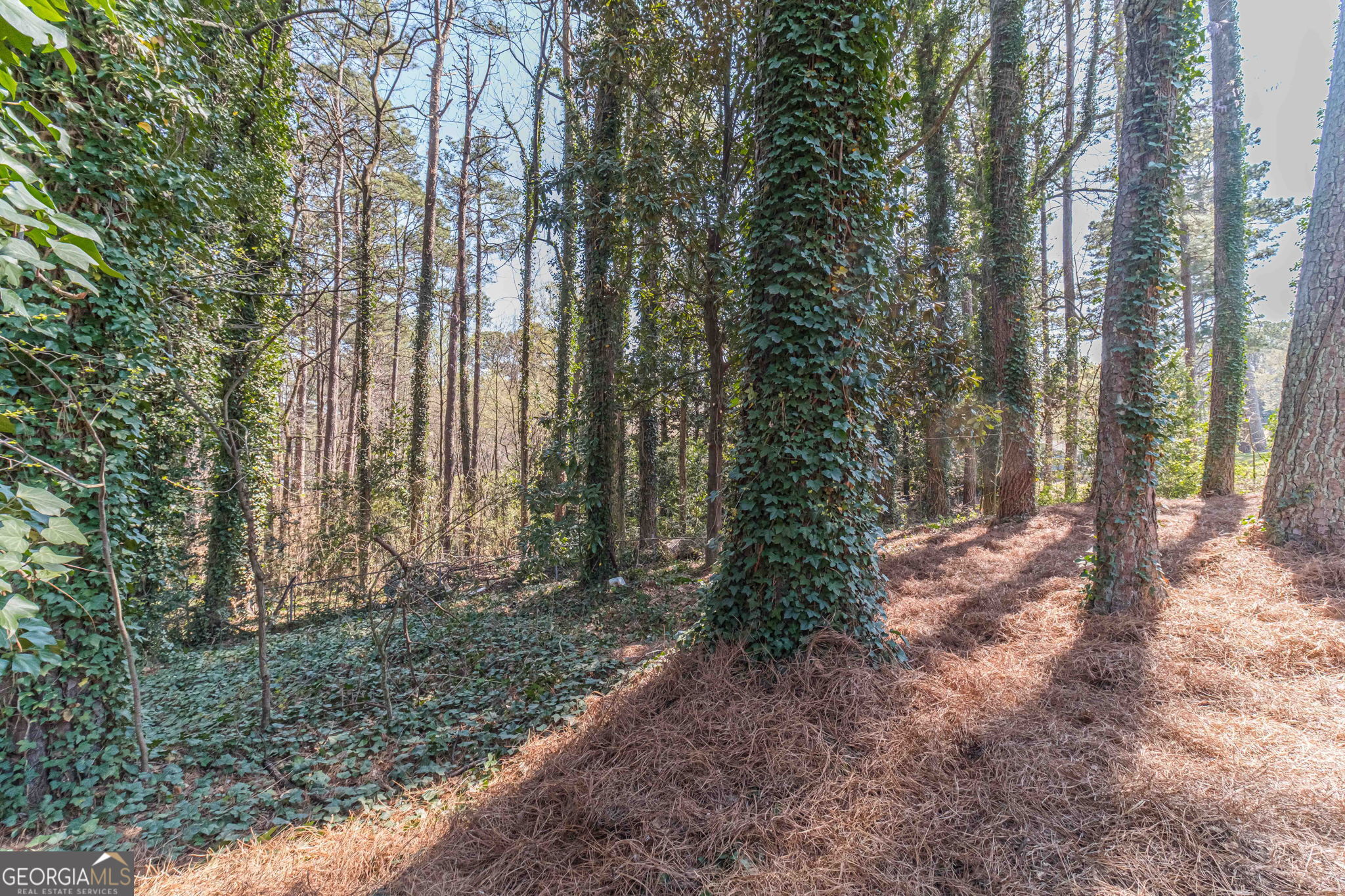 1409 Silver Thorne Court Loganville GA 30052