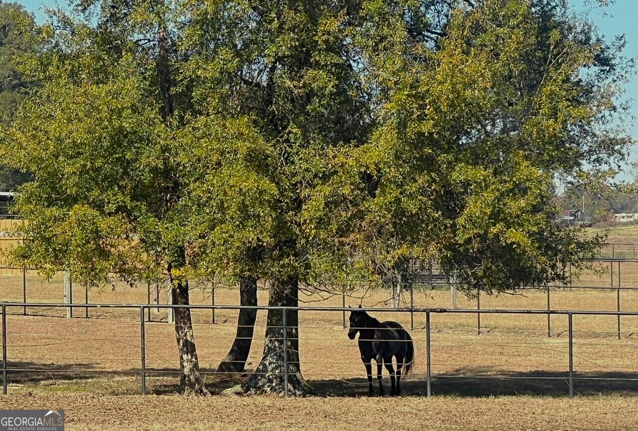 486 County Line Road Resaca GA 30735