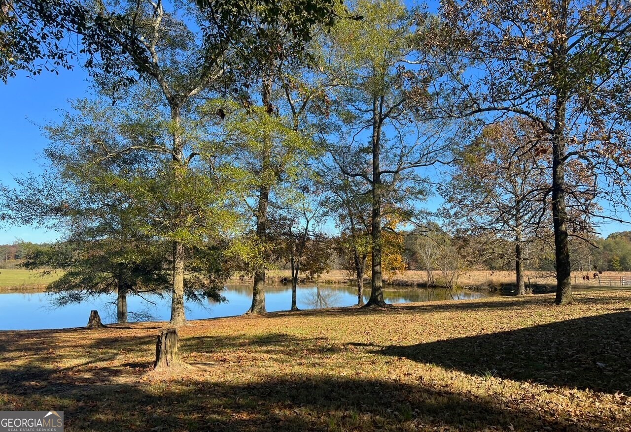 486 County Line Road Resaca GA 30735