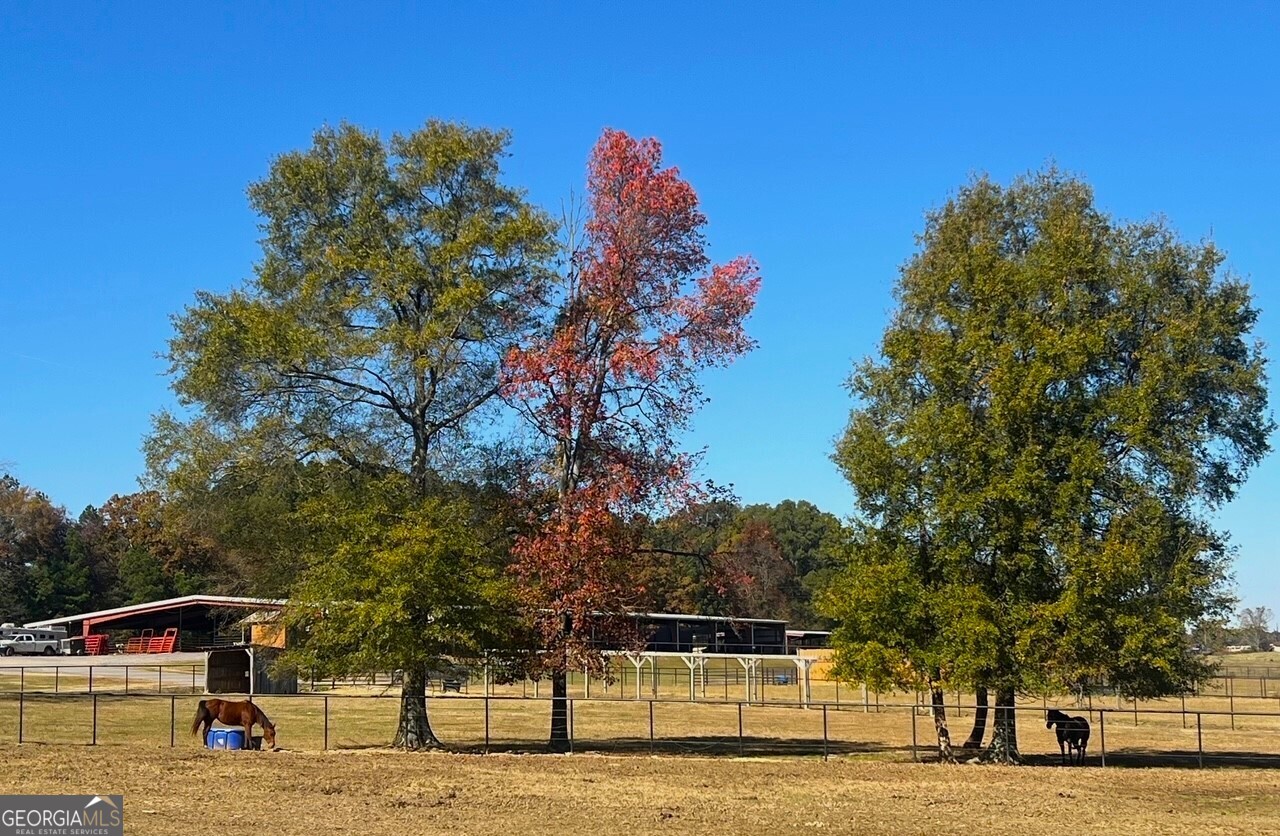 486 County Line Road Resaca GA 30735