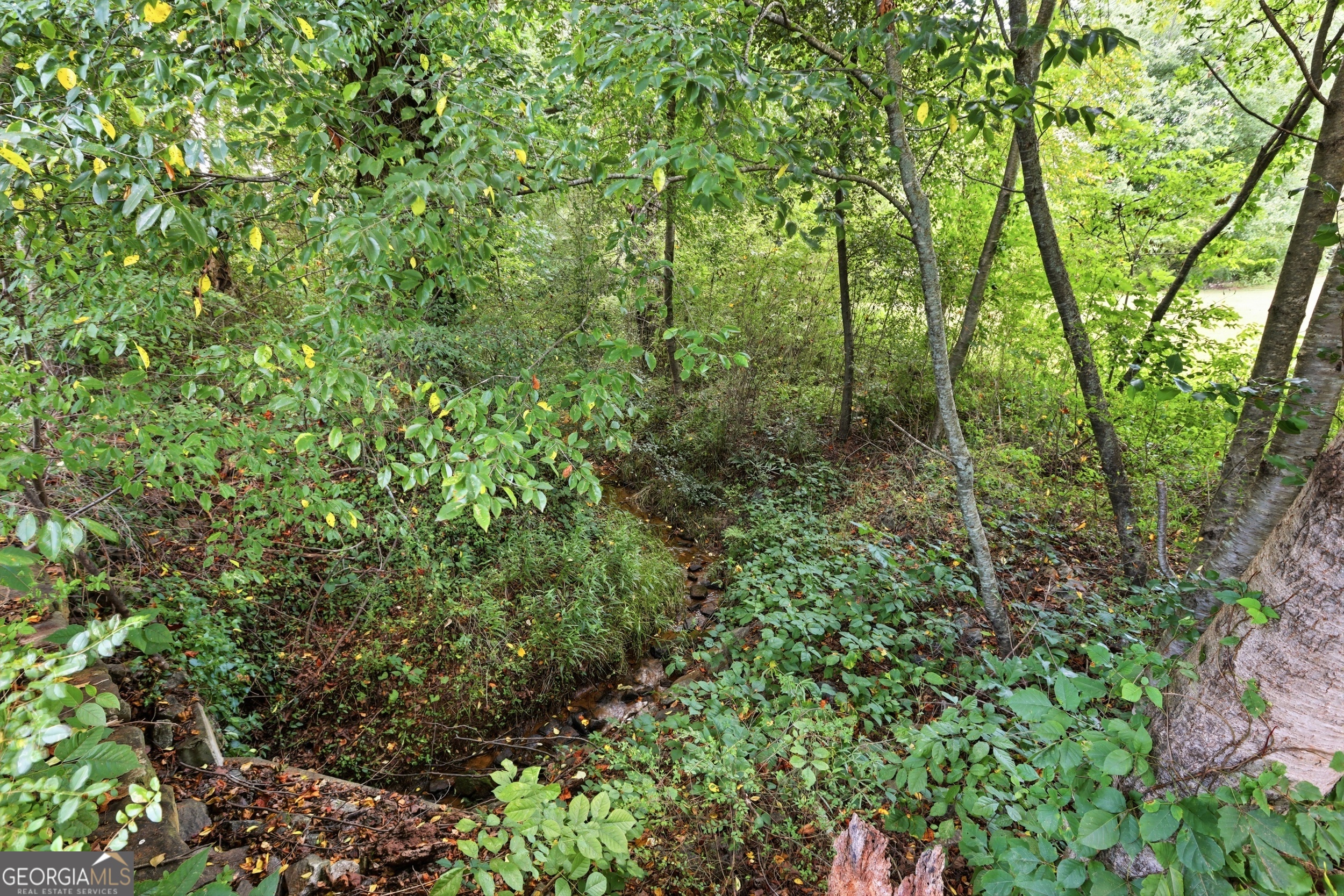 5911 Wauka Valley Pass Clermont GA 30527