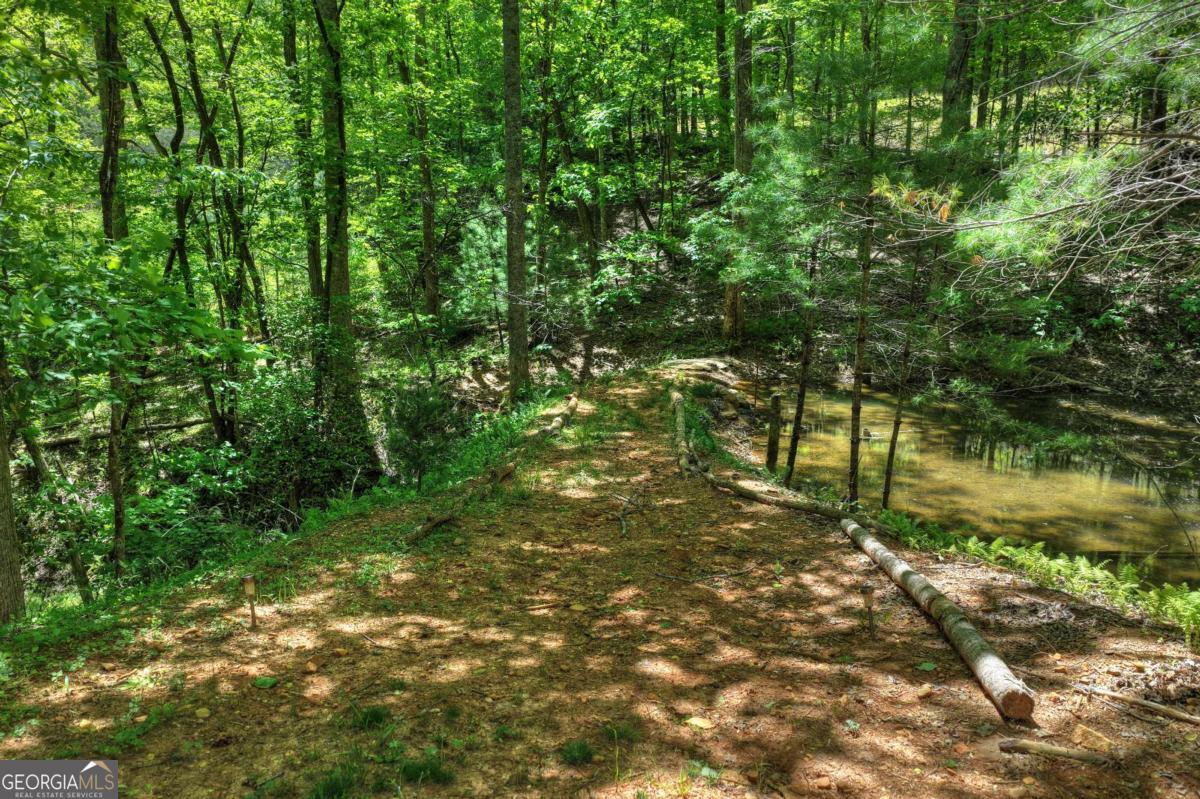 197 Tipton Court Cherry Log GA 30522