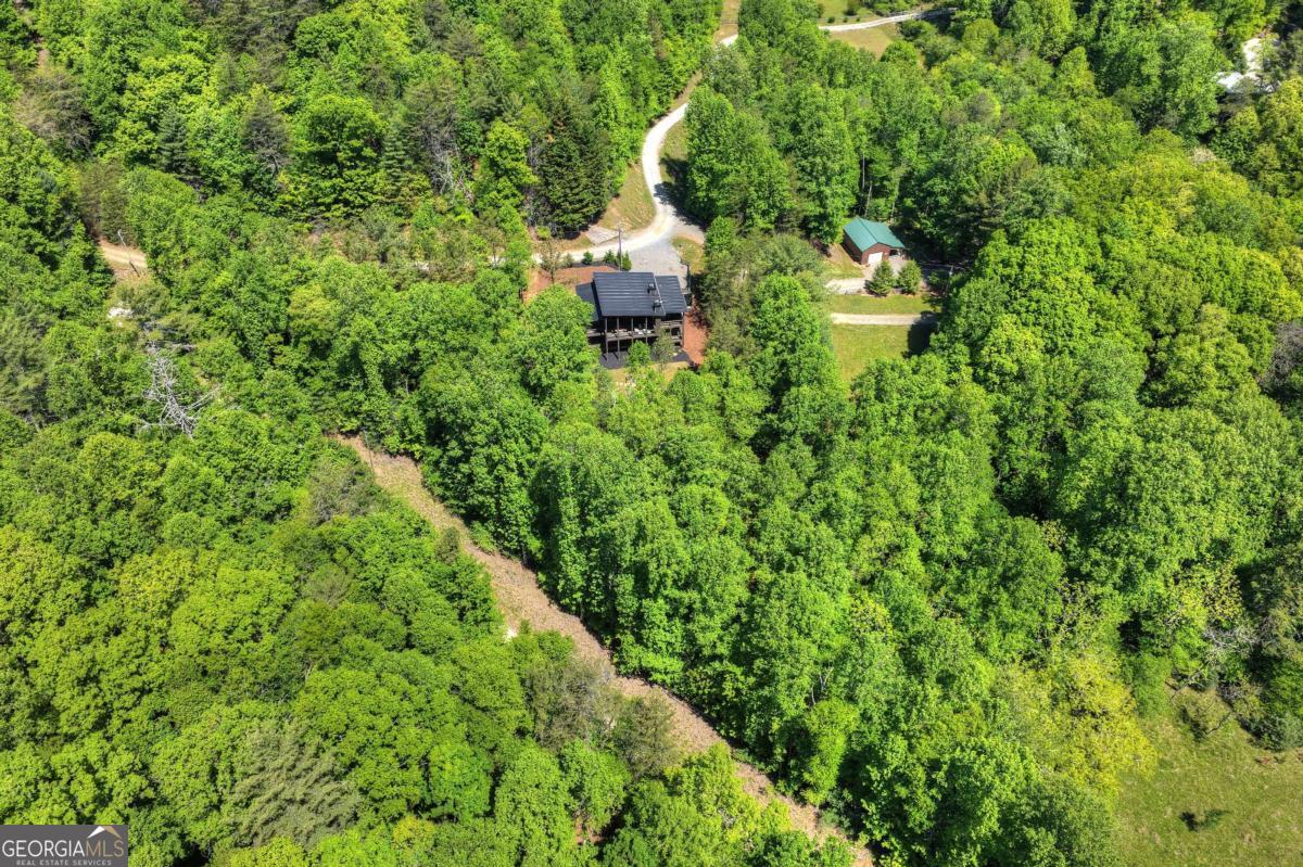 197 Tipton Court Cherry Log GA 30522