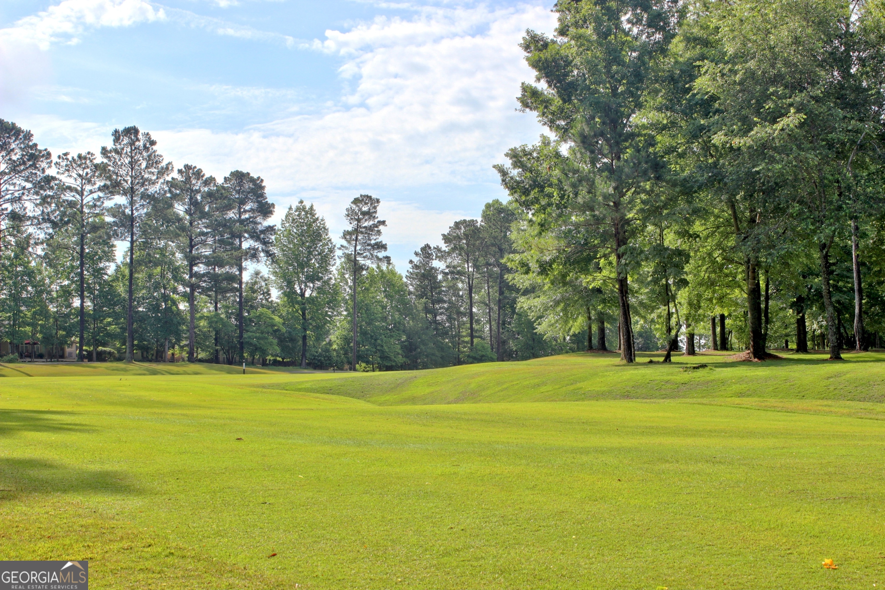 15 Downing Court Newnan GA 30265