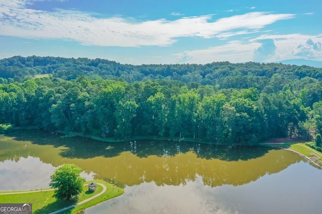 4700 Loftwood Drive Cohutta GA 30710