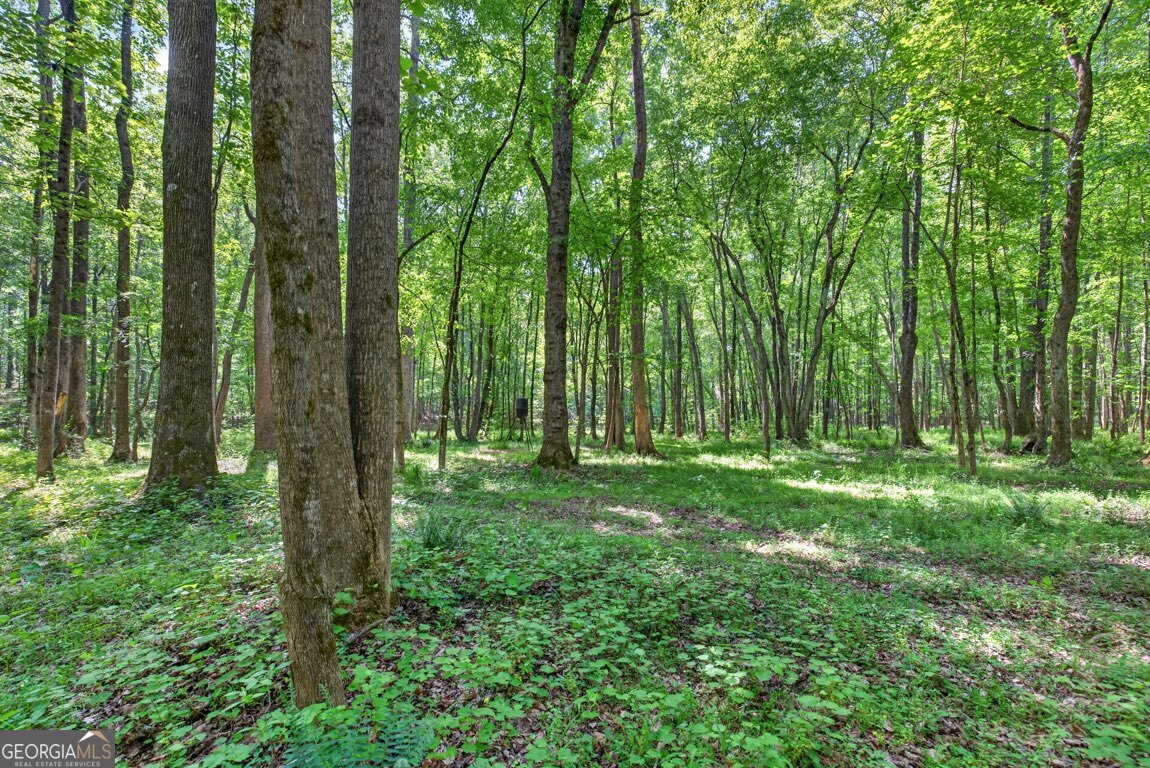 1260 Perryman Road Buckhead GA 30625