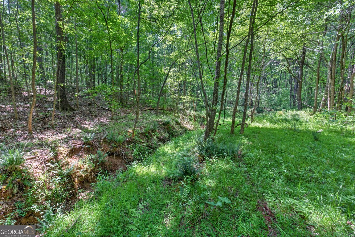 1260 Perryman Road Buckhead GA 30625