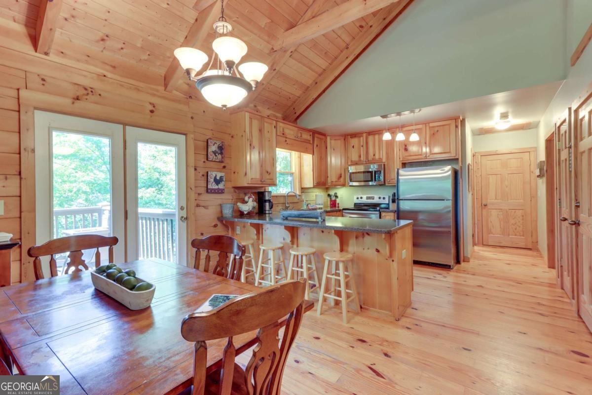 223 Novena Court Ellijay GA 30540