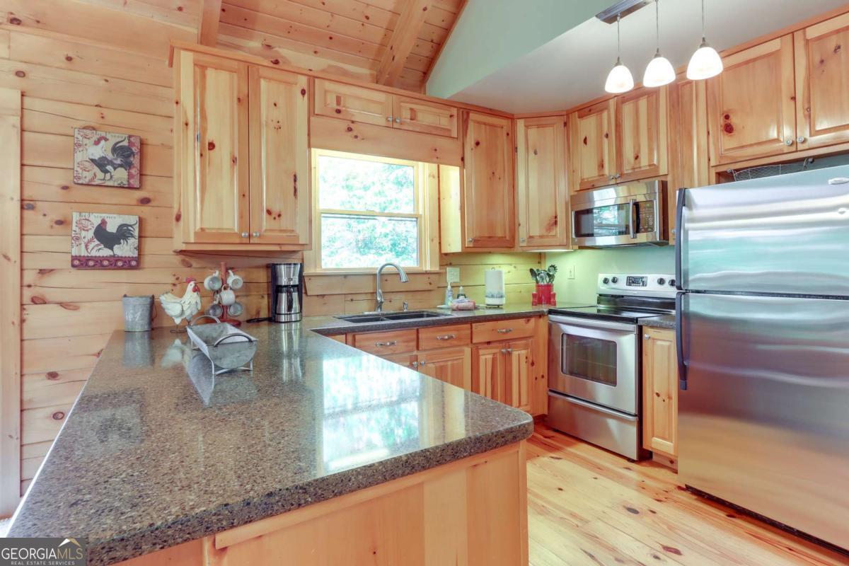 223 Novena Court Ellijay GA 30540