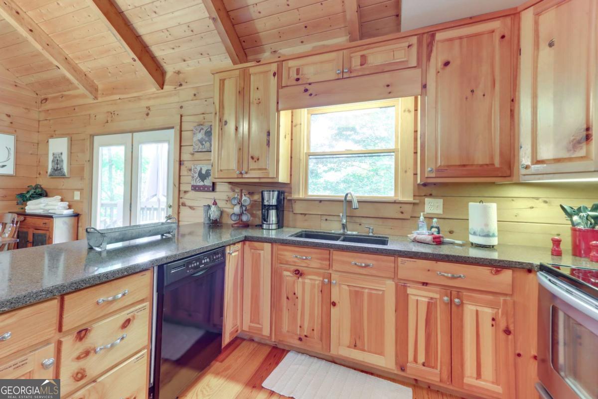 223 Novena Court Ellijay GA 30540