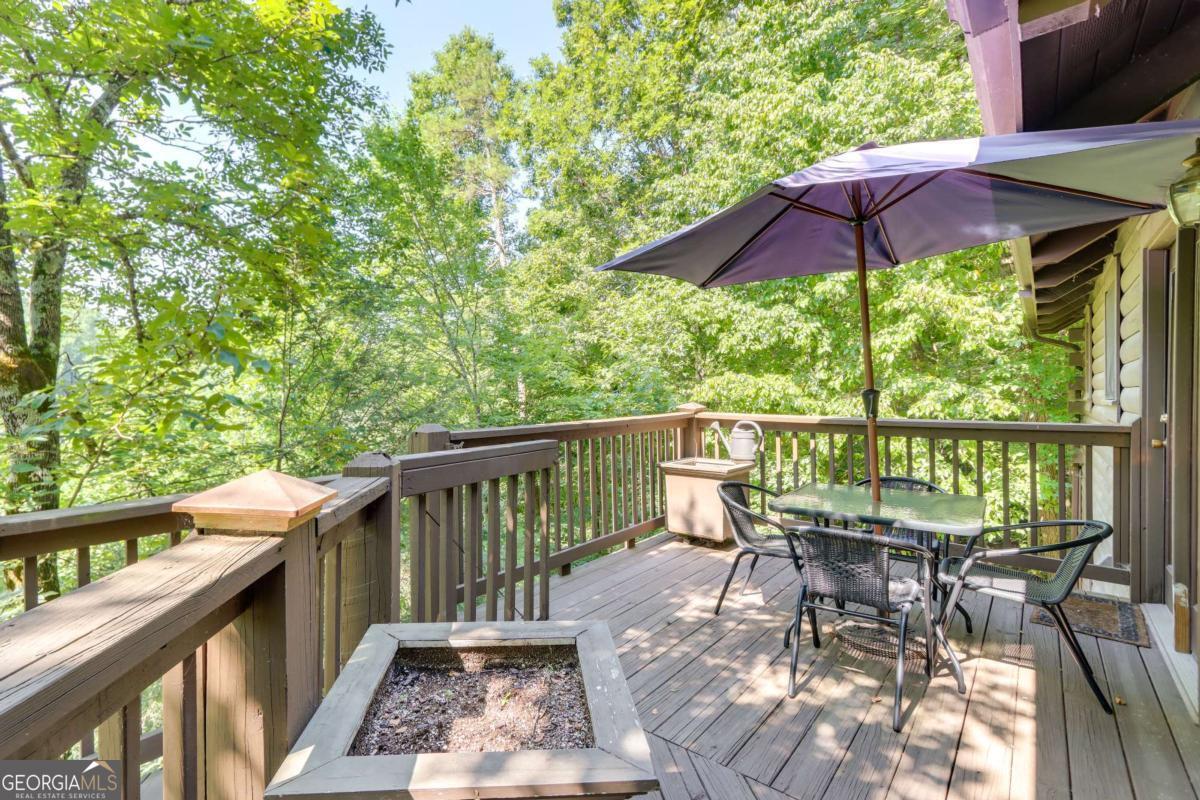 223 Novena Court Ellijay GA 30540