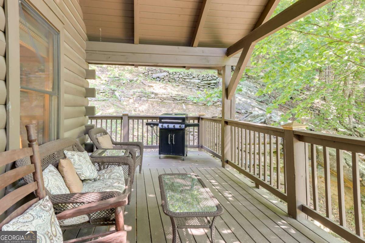 223 Novena Court Ellijay GA 30540