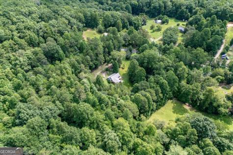 411 Piney Acres Road Blue Ridge GA 30513