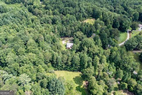411 Piney Acres Road Blue Ridge GA 30513