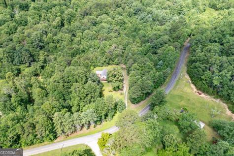 411 Piney Acres Road Blue Ridge GA 30513
