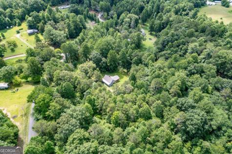 411 Piney Acres Road Blue Ridge GA 30513