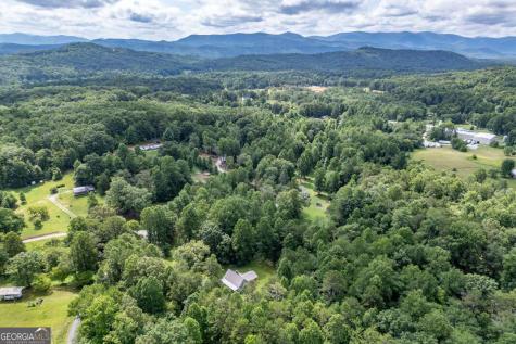 411 Piney Acres Road Blue Ridge GA 30513