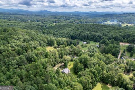 411 Piney Acres Road Blue Ridge GA 30513