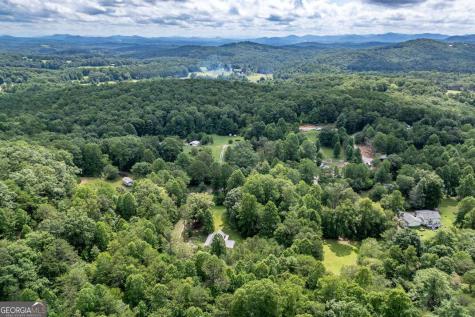 411 Piney Acres Road Blue Ridge GA 30513