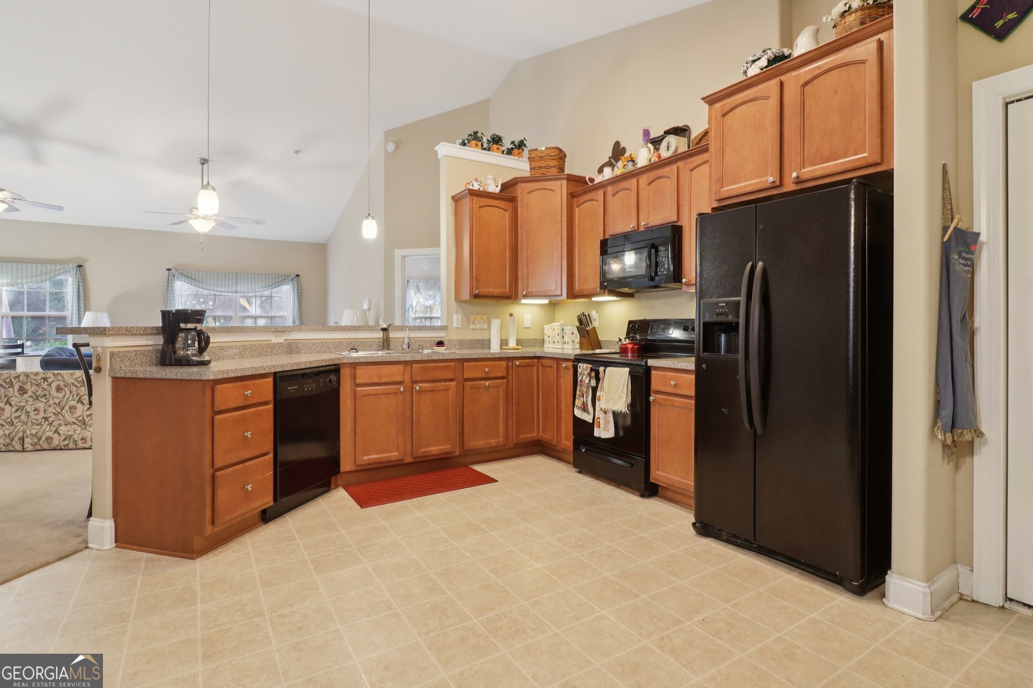 1502 Commonwealth Circle Newnan GA 30263