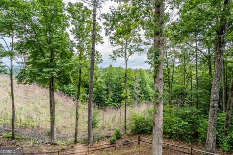 1095 Lonesome Pine Road Murphy NC 28906