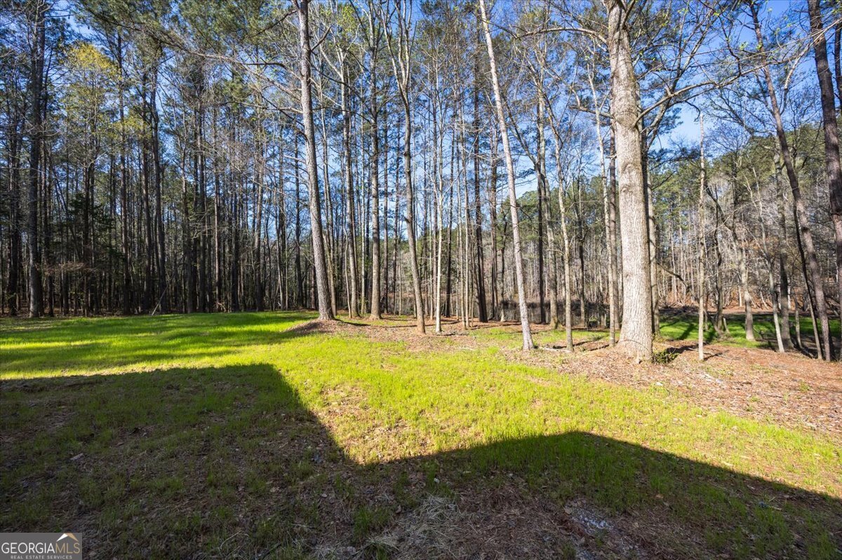 392 Ga Highway 74 Molena GA 30258