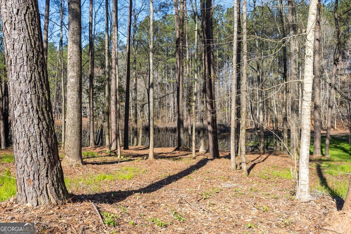 392 Ga Highway 74 Molena GA 30258