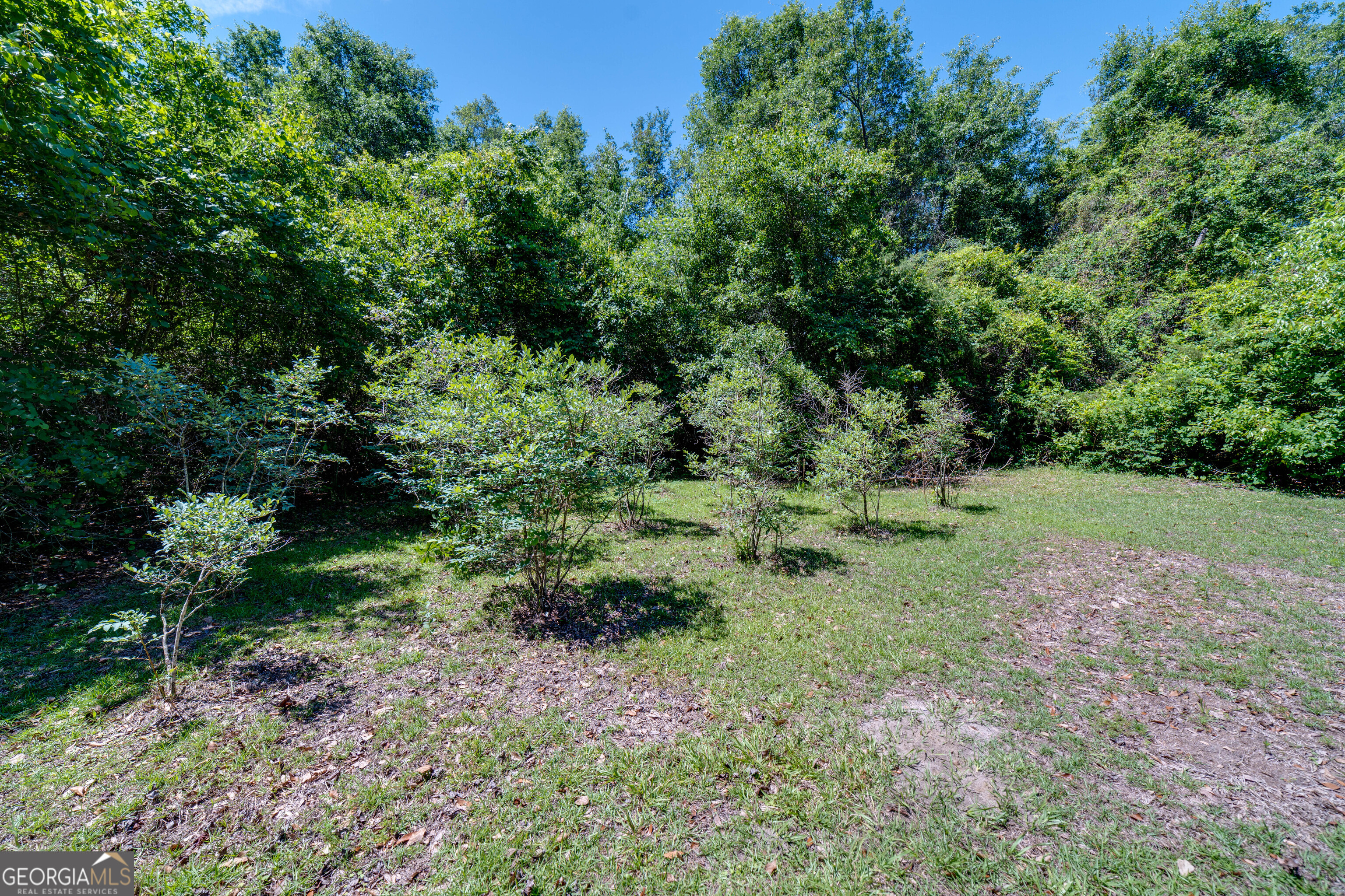2116 Dot Harvey Road Jakin GA 39861