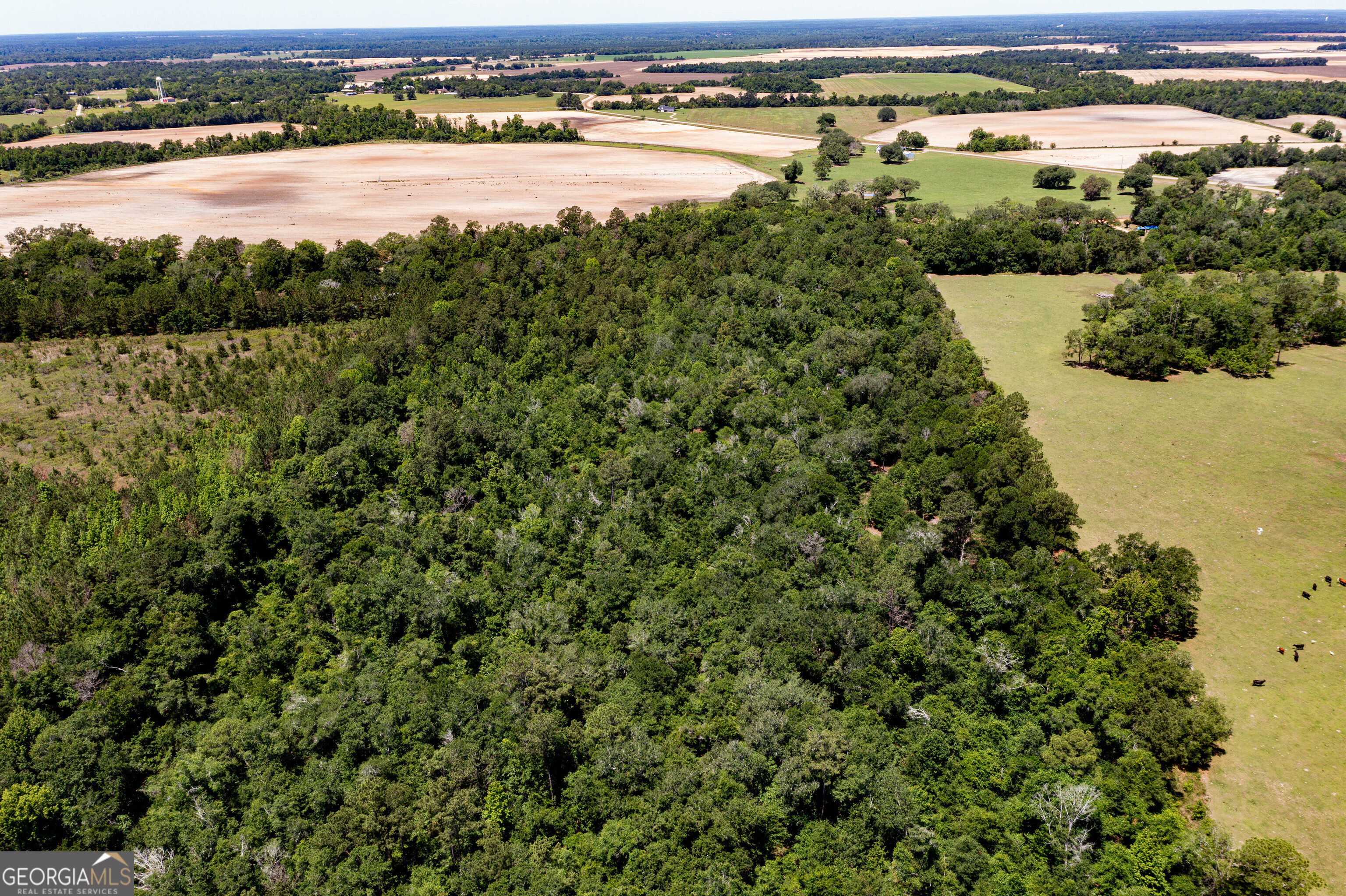 2116 Dot Harvey Road Jakin GA 39861