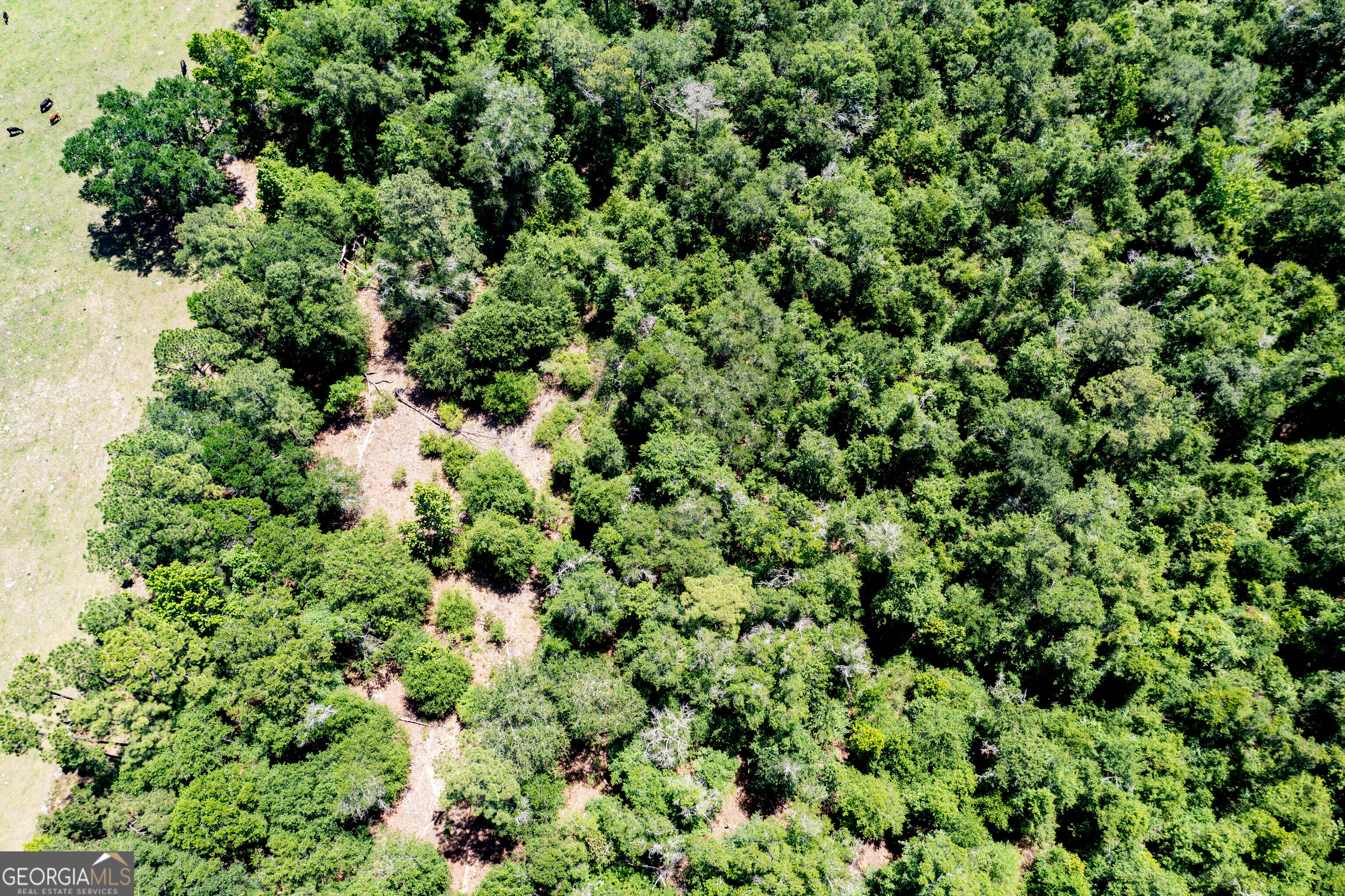 2116 Dot Harvey Road Jakin GA 39861