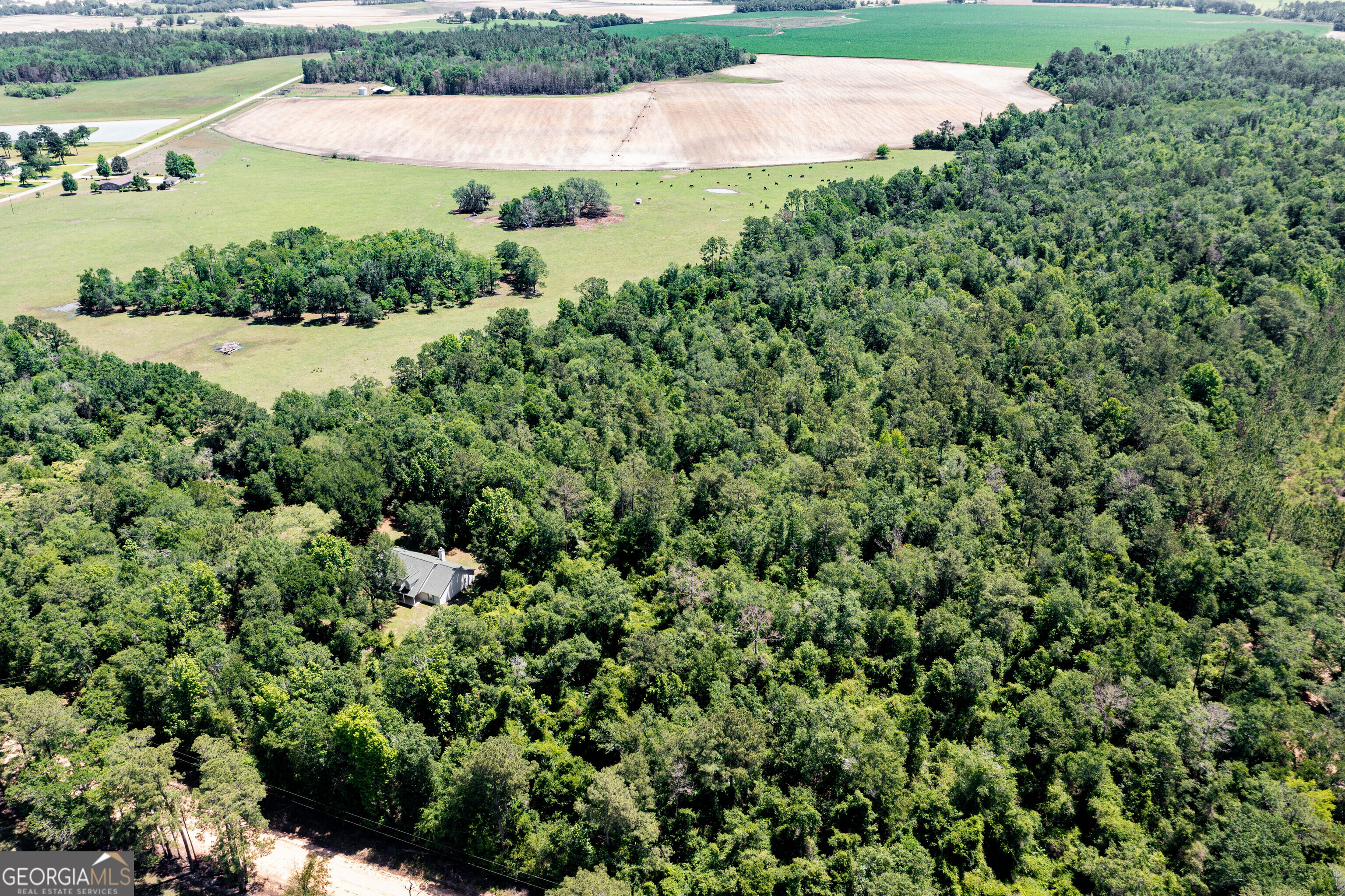 2116 Dot Harvey Road Jakin GA 39861
