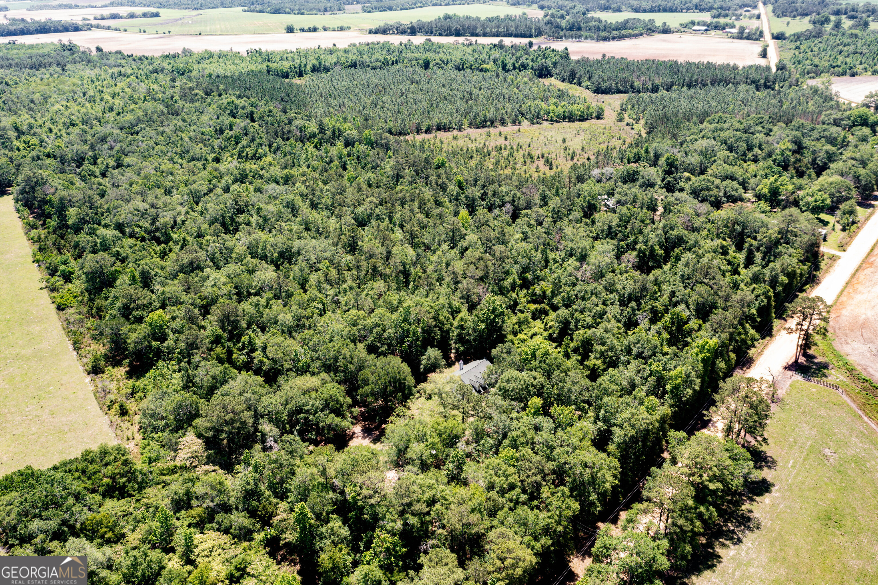 2116 Dot Harvey Road Jakin GA 39861