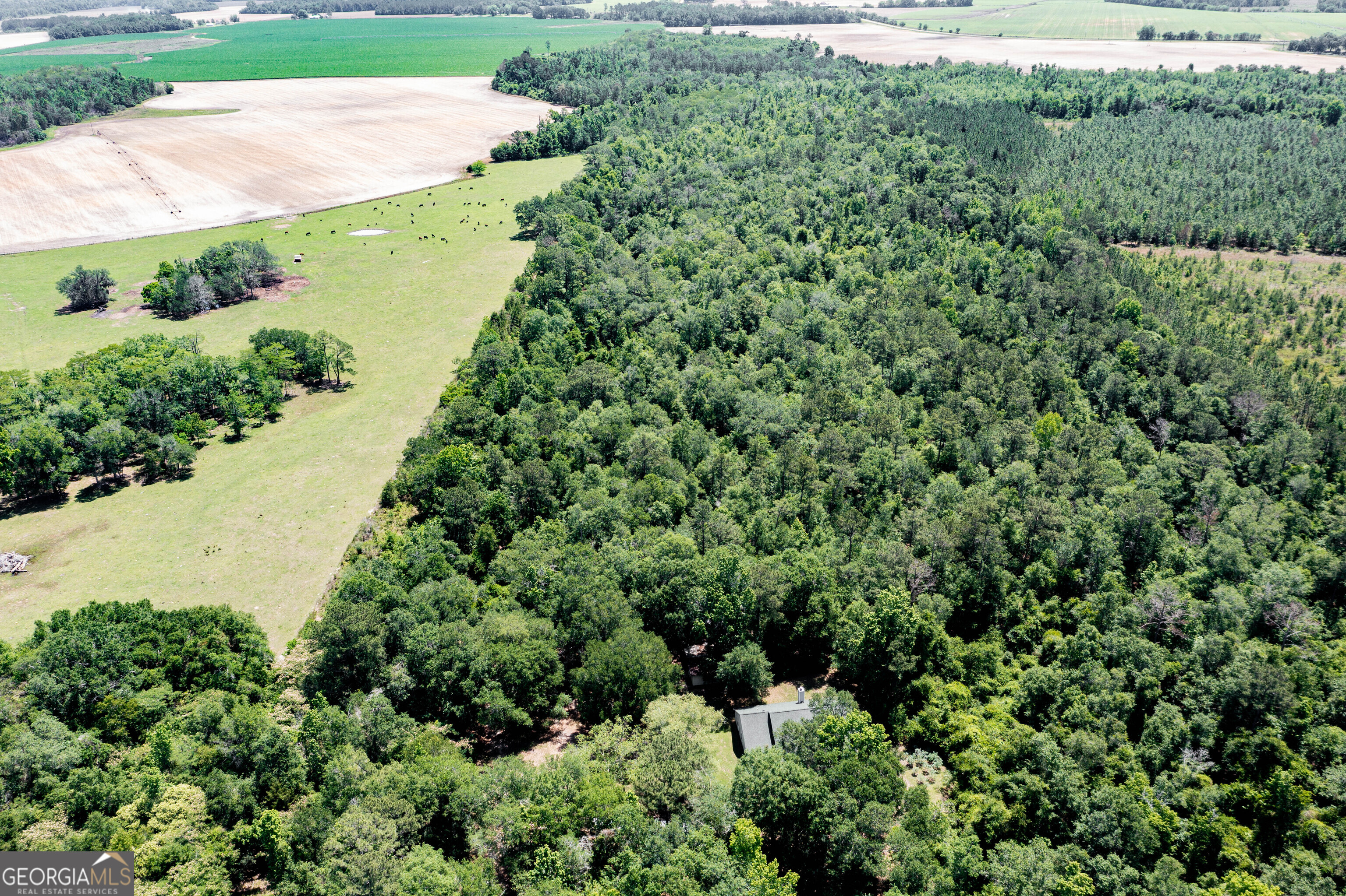 2116 Dot Harvey Road Jakin GA 39861