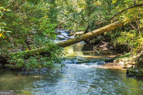 264 Lickskillet Hollow Blue Ridge GA 30513