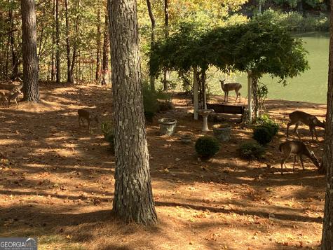 404 Golden Delicious Road Clarkesville GA 30523