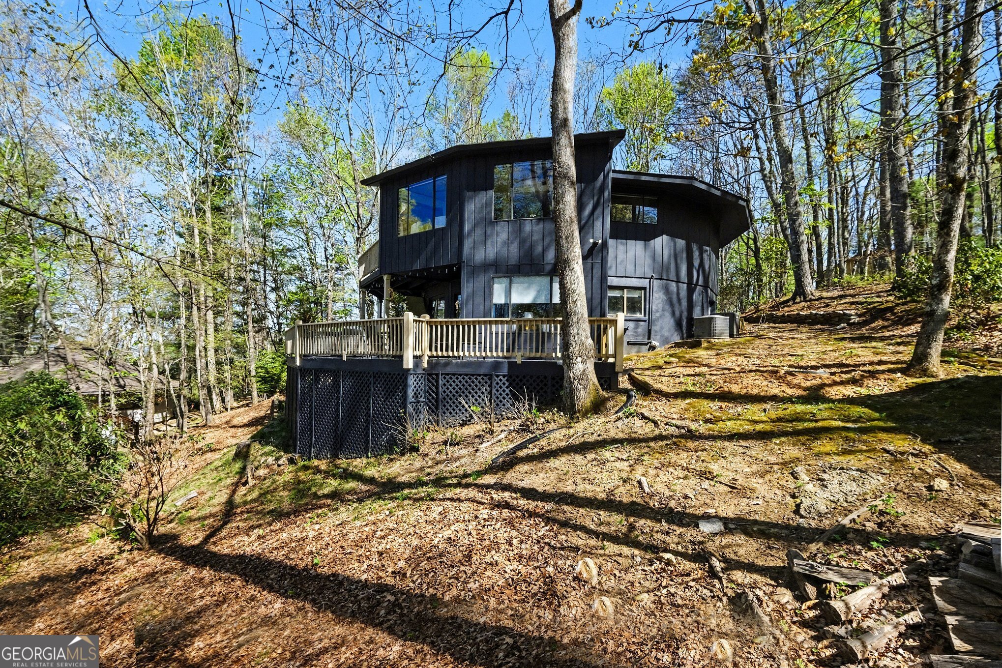 265 Pleasant Mountain Drive Sky Valley GA 30537