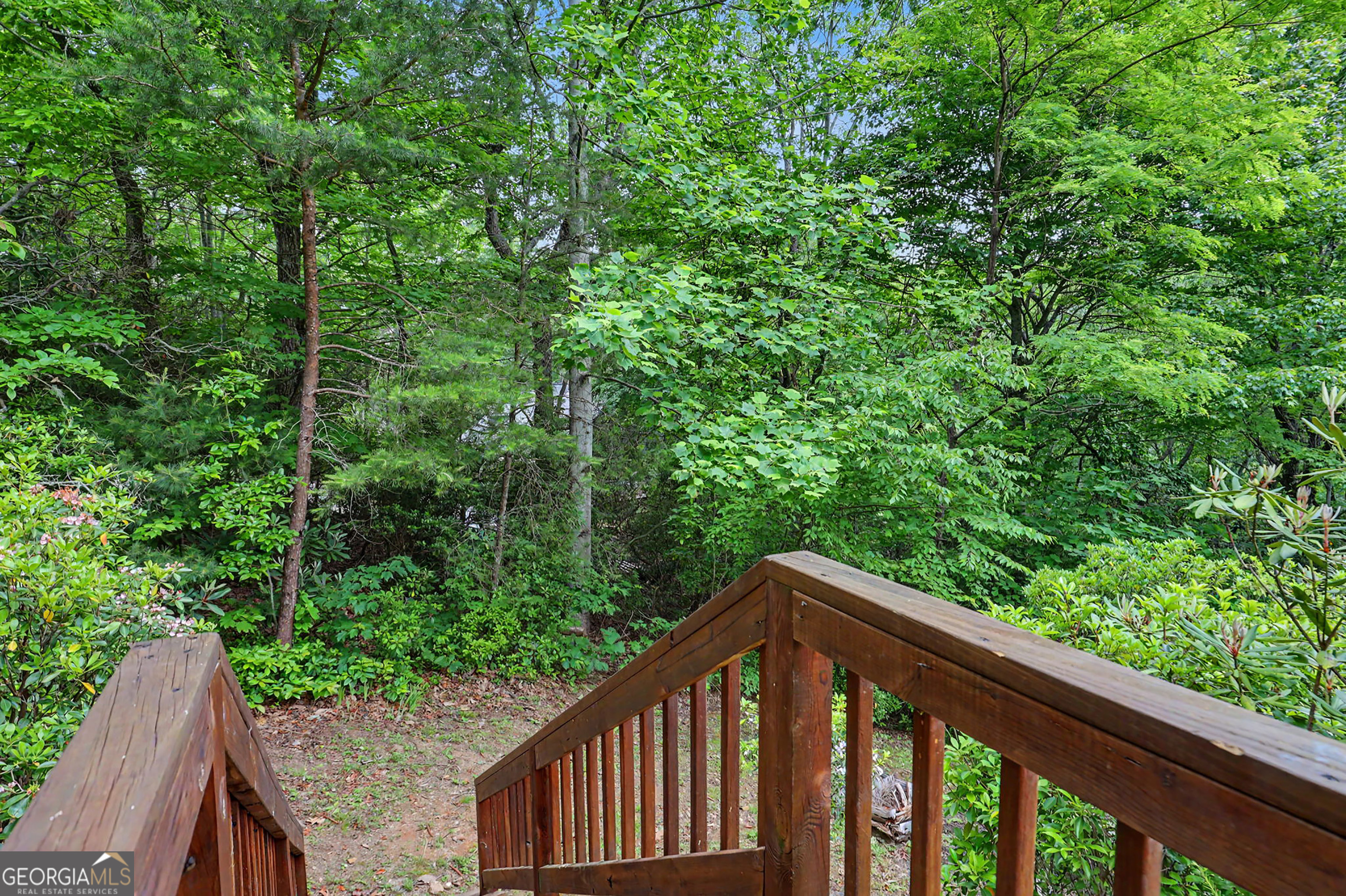 481 Top O Pinnacle Drive Clayton GA 30525