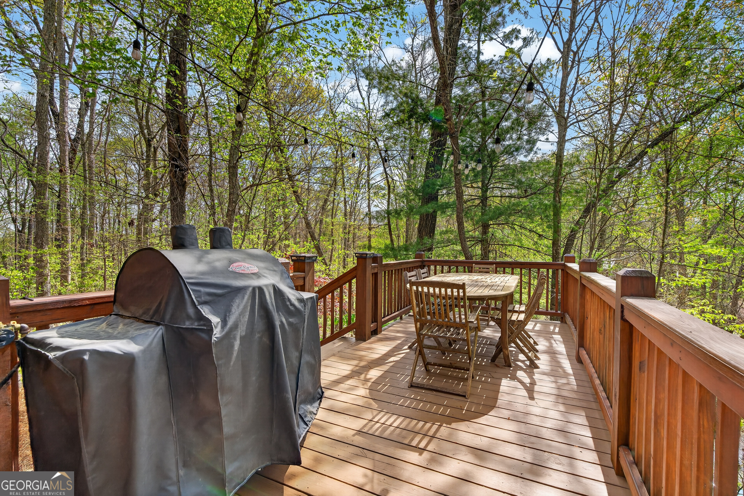 122 Moreland Drive N Cherry Log GA 30522