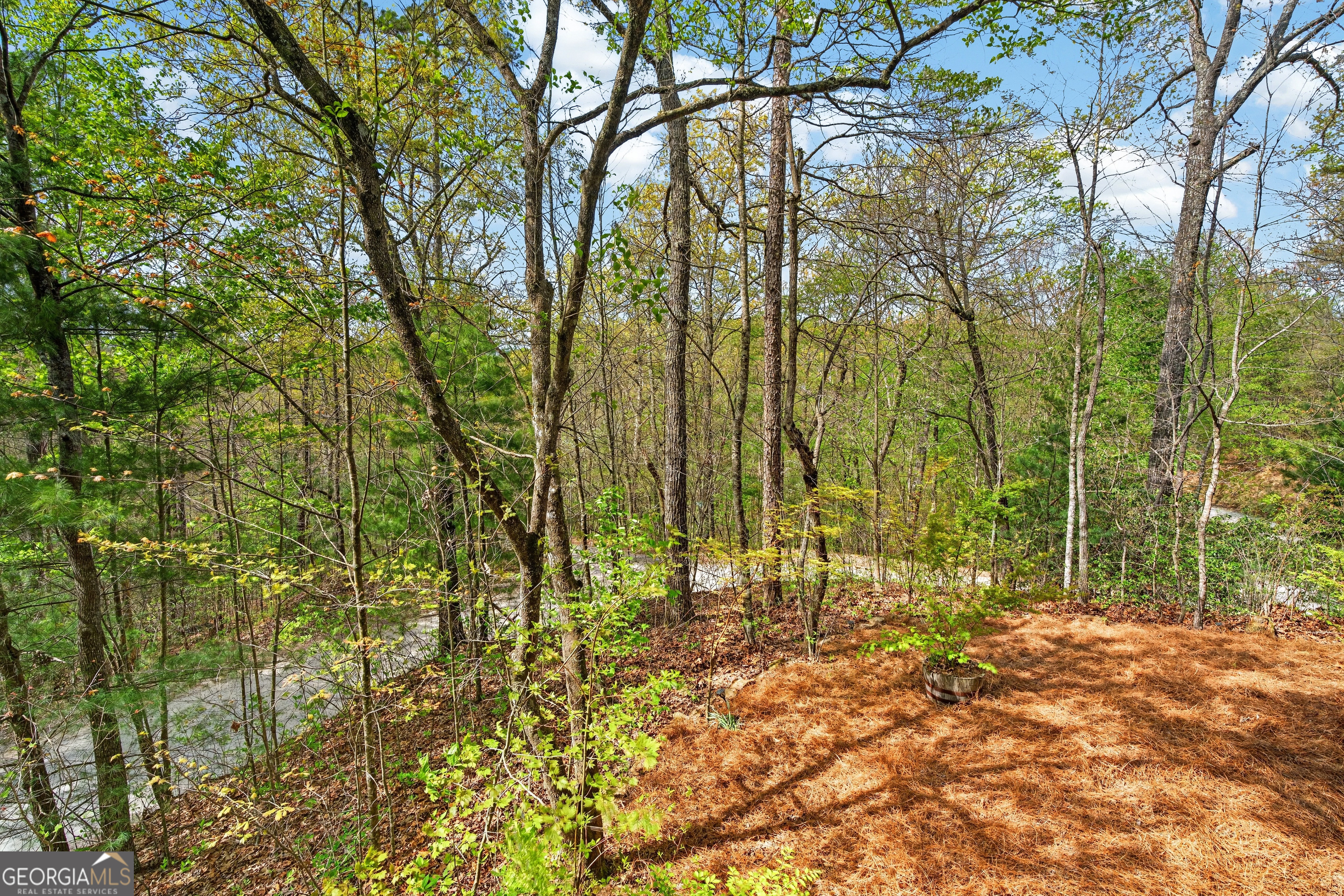 122 Moreland Drive N Cherry Log GA 30522