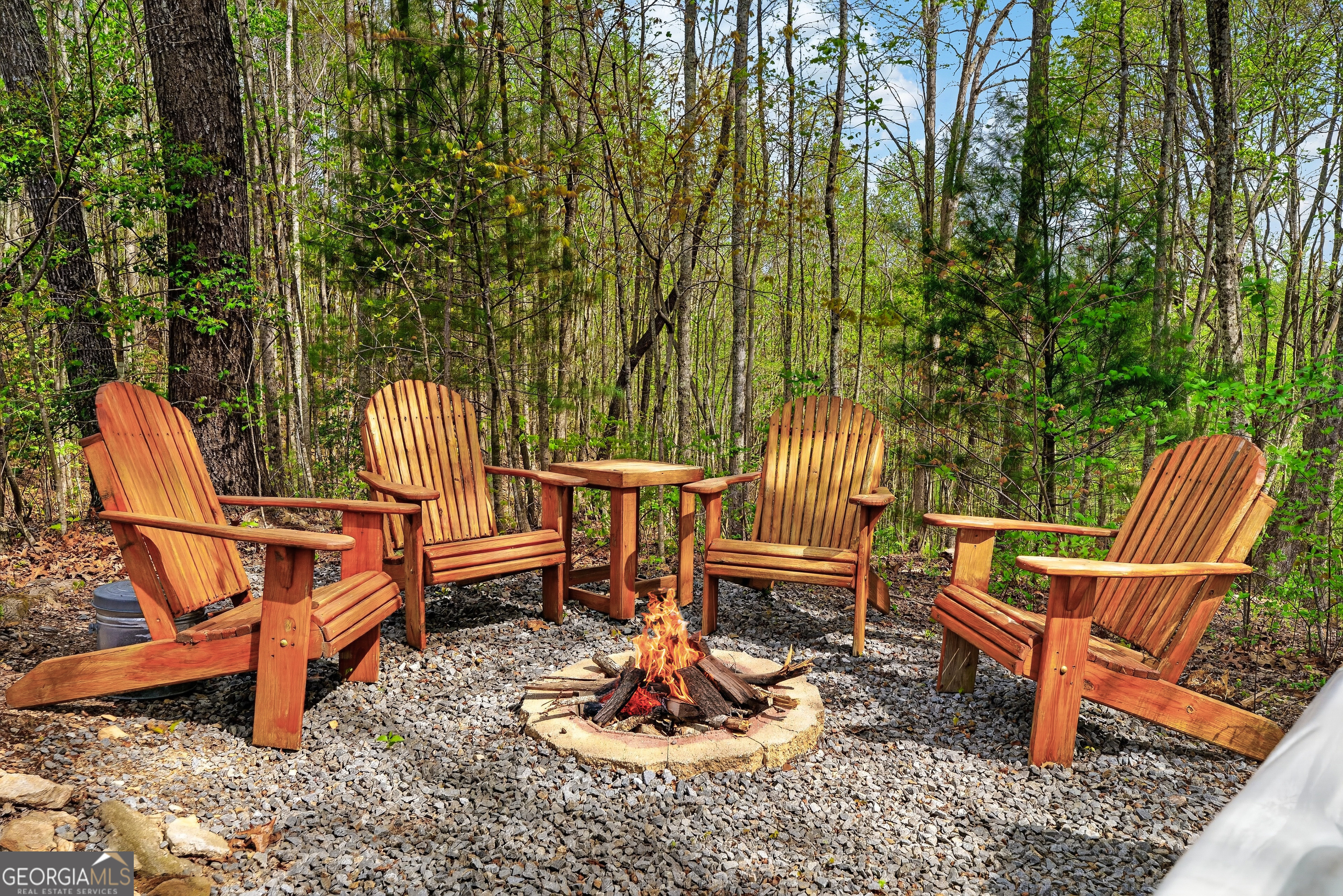 122 Moreland Drive N Cherry Log GA 30522